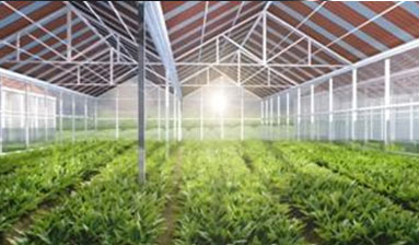 种、养殖基地建设